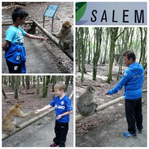 Salem 2016